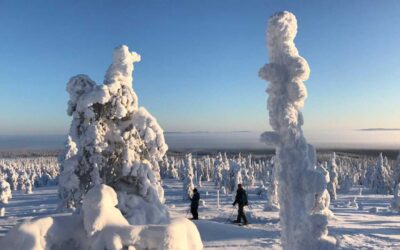 Sneeuwschoen wandeling naar het Riisitunturi National Park