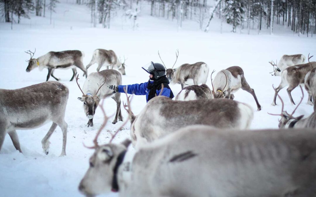 Sneeuwscooter safari rendierboerderij