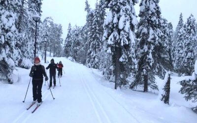 Introductie cross country / langlaufen
